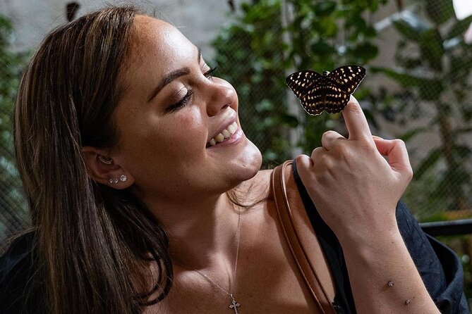 Dubai Butterfly Garden Entry Ticket