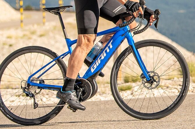 E-Road-Giant Road E+ Pro