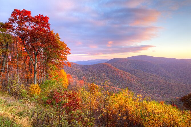 East Coast USA: Self-Guided Driving & Walking Tour Bundle