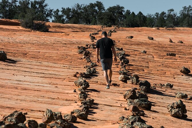 East Zion Outback UTV Tour With Licensed Guide - Meeting and Check-In Details