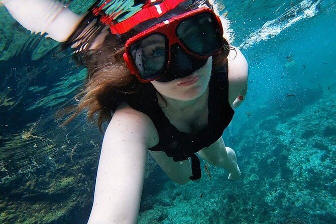 Eco Adventure Cenotes Casa Tortuga!+ Tulum Ruins From Cancun & Playa Del Carmen