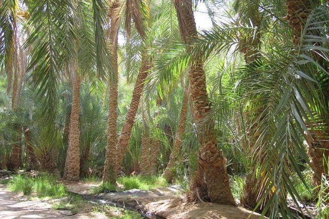 Egypt Countryside Trip