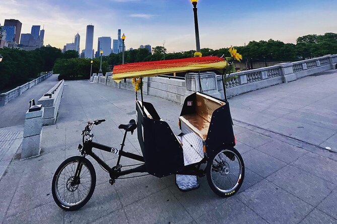 Enchanted Fall Private Pedicab Tour Through Lincoln Park, Chicago