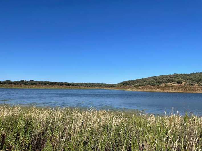 Évora: Half-Day in a Dam With a Picnic and Stand-Up Paddle