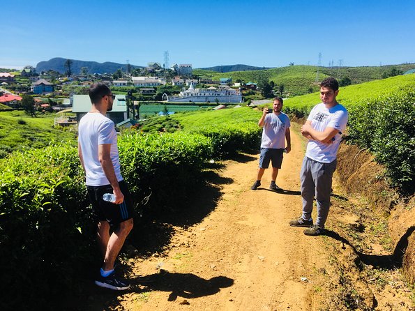 Explore Nuwara Eliya | Experience the Best Tea in the World