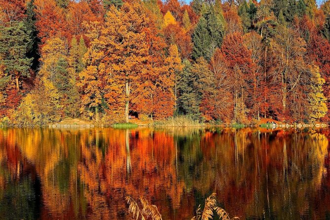Fall Color Tour of Lake Leelanau With Licensed Guide