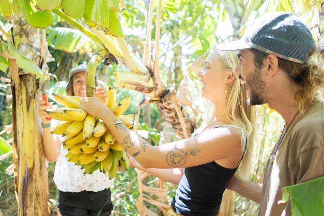 Farm to Taco: A Farm to Table Cooking Class - Exploring the Lā Kāhea Community Farm