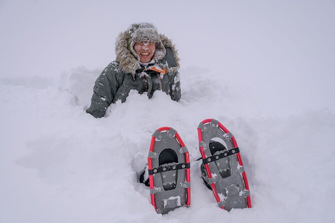 Forest Snowshoeing in White Birch and Blue River Course