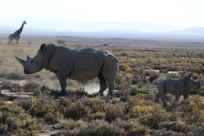 From Arusha: Tarangire and Ngorongoro Crater 3-Day Private Safari