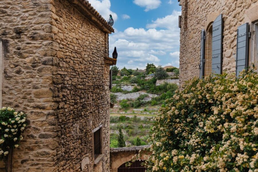 From Avignon: Villages in Luberon Half-Day Tour - Tour Overview and Pricing