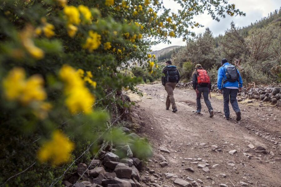 From Cusco: Huchuy Qosqo Private Full-Day Hike