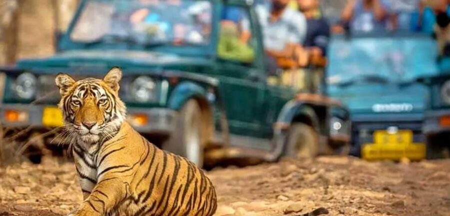 From Delhi: 4-Day Golden Triangle & Ranthambore Tiger Safari