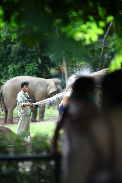From Delhi: Taj Mahal and Elephant Care Park Day Trip