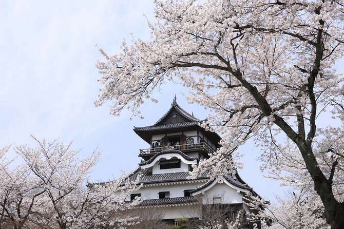 From Nagoya: Samurai Swords and Japan Oldest Castle