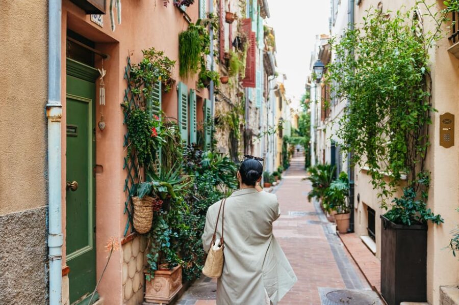 From Nice: Wine Tasting, Cannes, and Countryside Tour - Overview of the Tour
