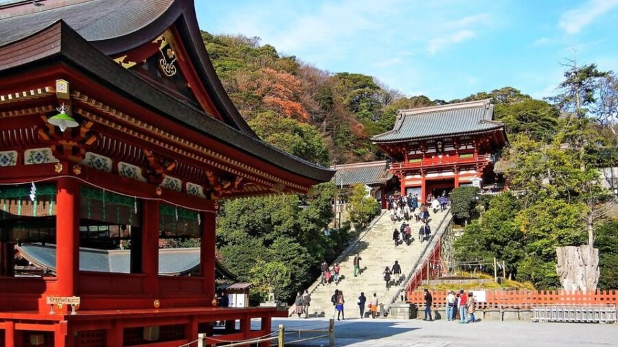 From Tokyo: Kamakura Full Day Tour With a Local Expert Guide
