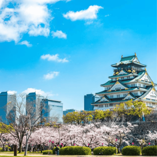 From Tokyo: Mount Fuji Day Trip With English Speaking Driver - Trip Overview and Pricing