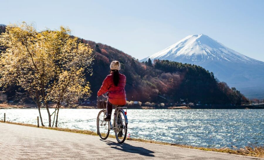 From Tokyo: Mount Fuji Instagram Spots 1-Day Private Tour