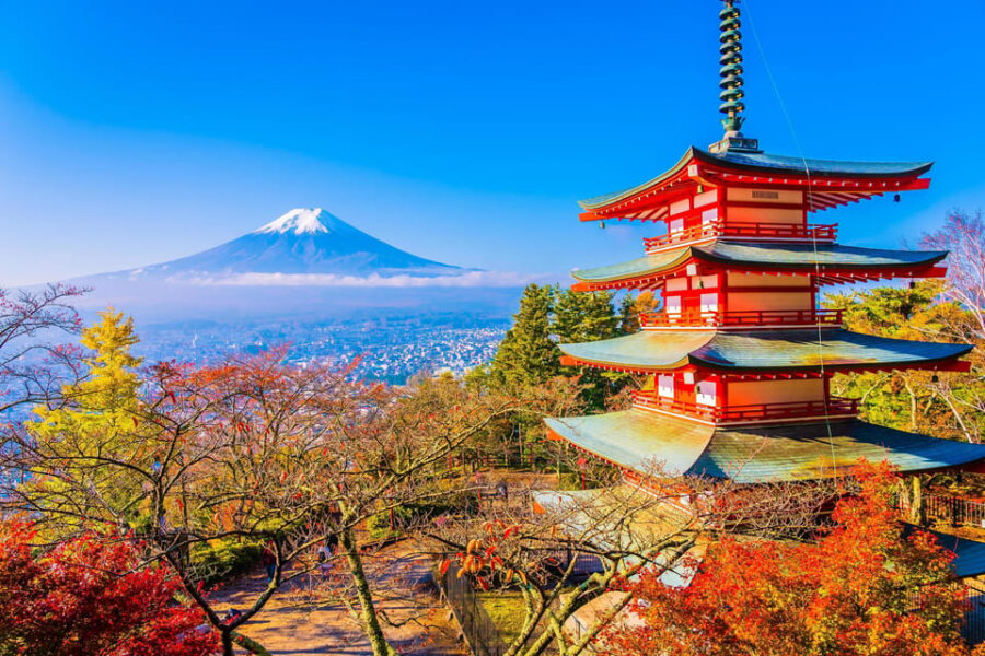 From Tokyo: Mount Fuji Private Day Trip With Driver