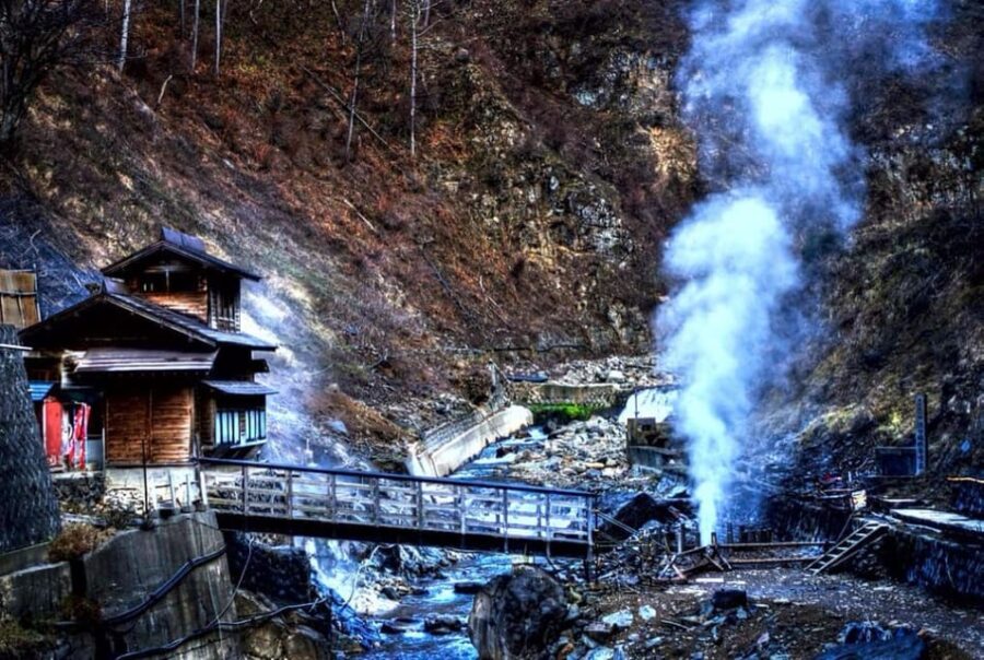 From Tokyo: Nagano Snow Monkey Park Full-Day Private Tour