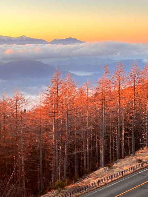 From Tokyo/Yokohama: Mount Fuji and Hakone Full Day Trip