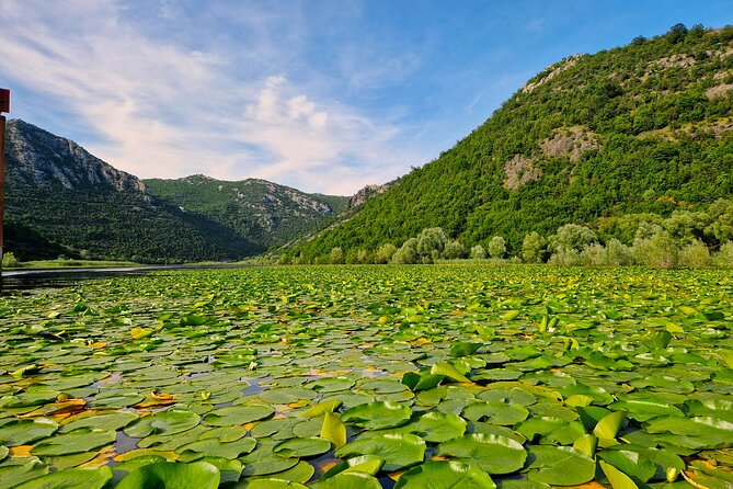 From Virpazar: Visit Karuč, the Hidden Pearl of Lake Skadar