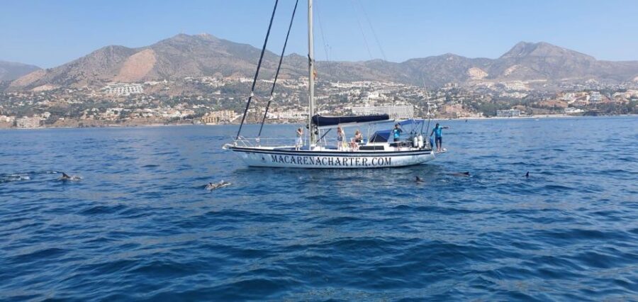 Fuengirola: Dolphin-Watching Sailing Tour With Drinks
