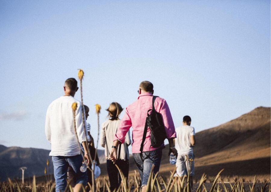 Fuerteventura Organic Farm Guided Tour With Optional Lunch - Tour Overview and Pricing