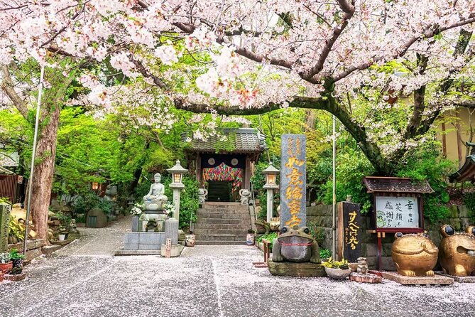 Fukuoka Kyushu Tour With Dazaifu, Nyoirin-Ji Temple and Yufuin