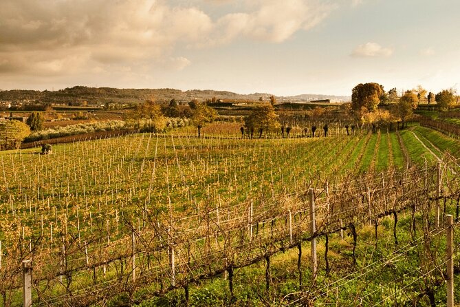 Full Day Guided Private Tour of the Cellars in Franciacorta - Tour Overview