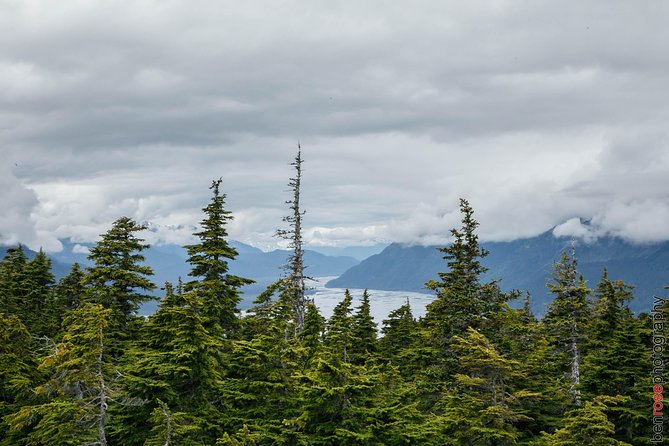 Full-Day Mount Riley Hike From Haines