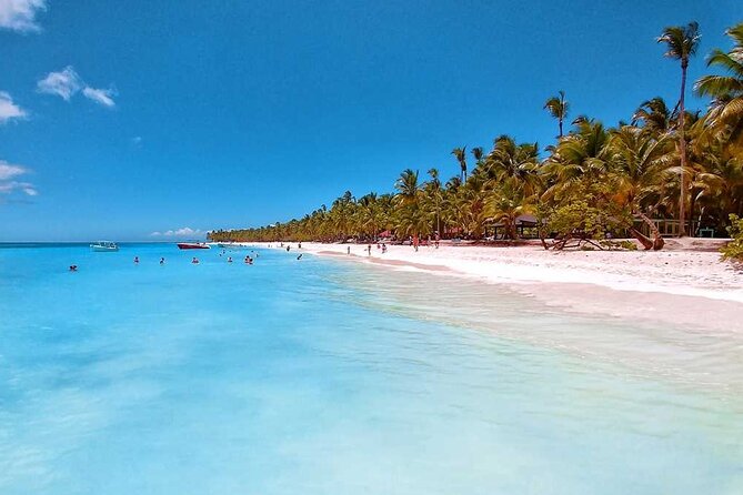 Full-Day Private Punta Cana Saona Tour by Speedboat