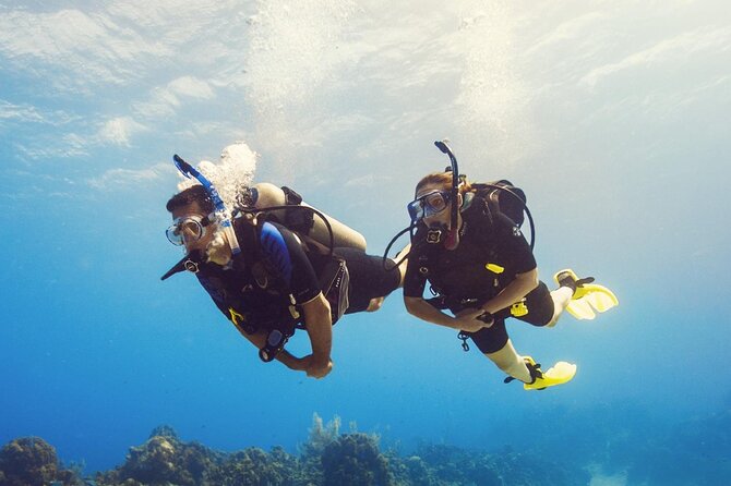 Full Day Scuba Diving Course: Pool and Boat Dive Experience