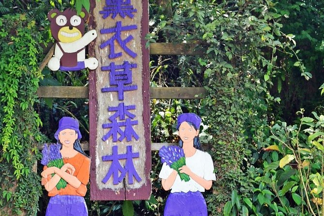 Full-Day Taichung and Lavender Cottage Private Tour With Lunch - Tour Overview
