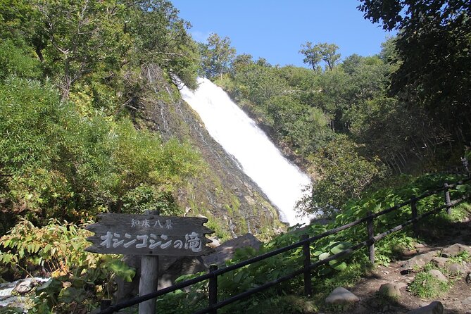 Full-day Tour in Hokkaido Natural Heritage Shiretoko Adventure