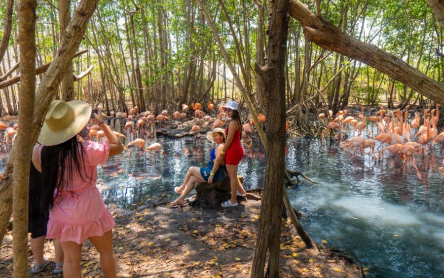 Full-Day Tour – National Aviary and Playa Blanca + Plankton