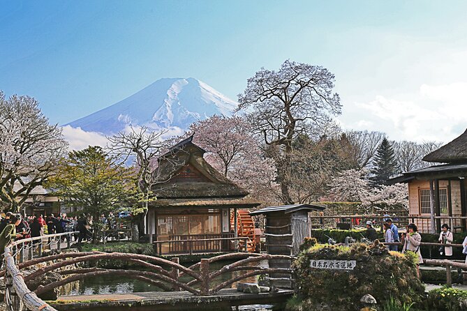 Full Day Tour of Mount Fuji and Hakone From Tokyo