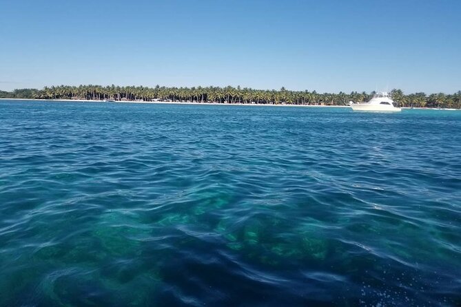 Full-Day Tour of Saona Island From Cap Cana
