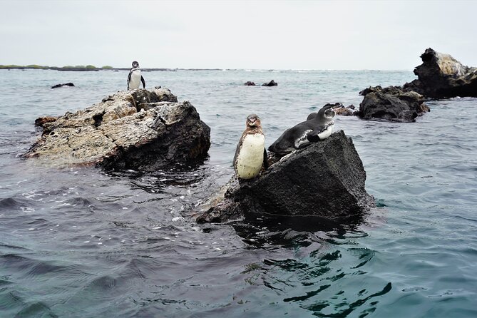 Galapagos Multisport Expedition 8 Days