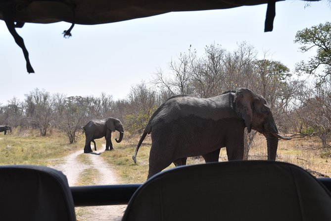 Game Drives
