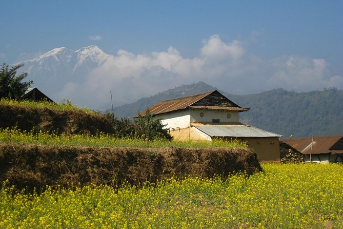 Ghalegaun Homestay Tour Review: Is It Worth It