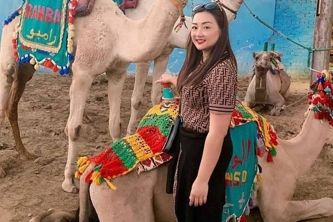 Giza Payrimds,Dahshur Sakkara and Memphis Included Camel Ride.