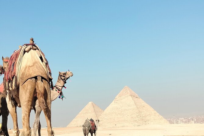 Giza Pyramids and Sphinx Tour Review