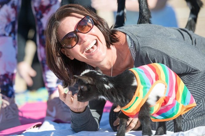 Goat and Alpaca Yoga in Arizona