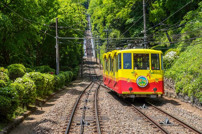 Gourmet Tour in Mountain Takao, Tokyo