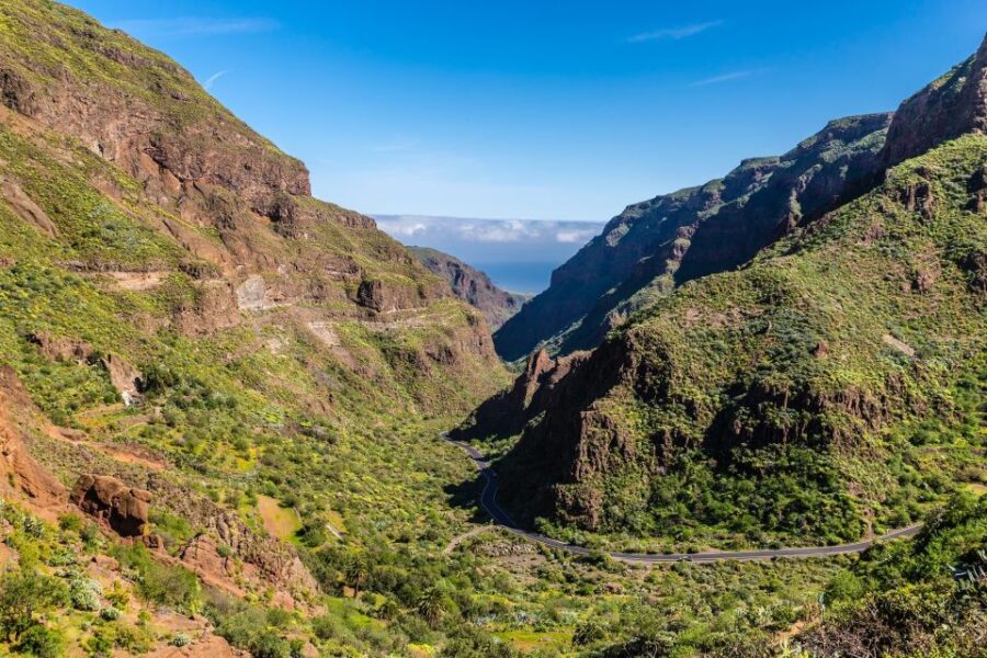 Gran Canaria: Full-Day VIP Tour by Bus - Tour Overview and Pricing