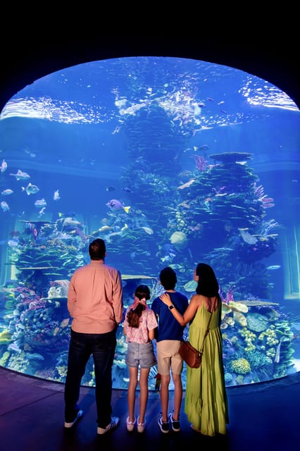 Great Aquarium Mazatlan