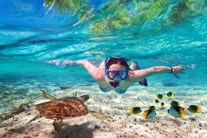 Guided 8 HR Full Day Fishing / Snorkel Private Charter Trip 40 Mega Bite