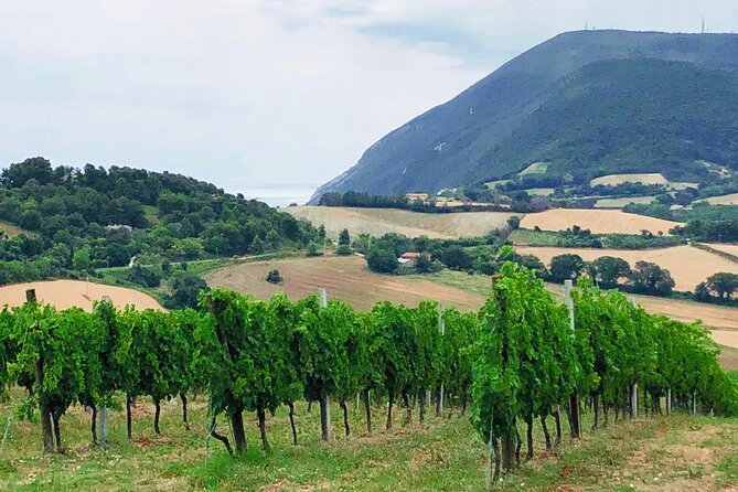 Guided E-Bike Tour With Food and Wine Tasting.