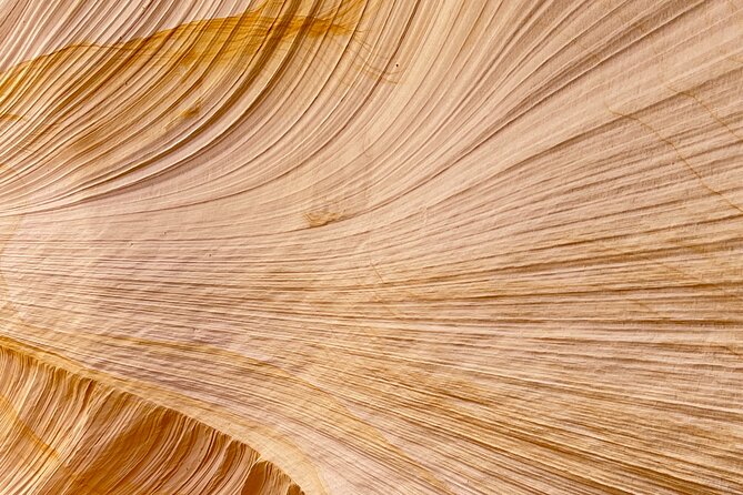 Guided Hike Through Great Chamber/Cutler Point (Small Group) - Tour Overview